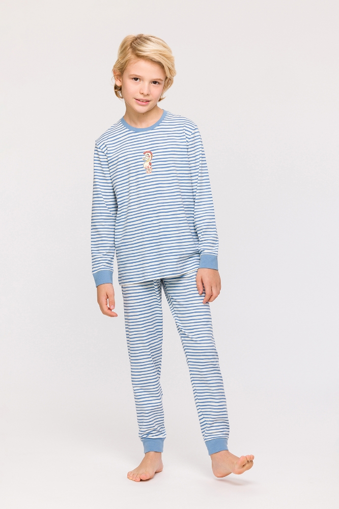 10-16 Yaş Erkek Çocuk Pijama-Plc - 921-Denizatı Temalı Çizgili Mavi