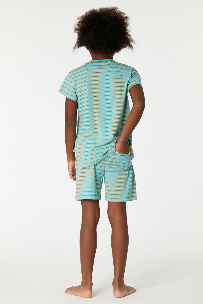 2-8 Yaş Erkek Çocuk Pijama-Pza - 978-Mandril Temalı Çizgili Yeşil