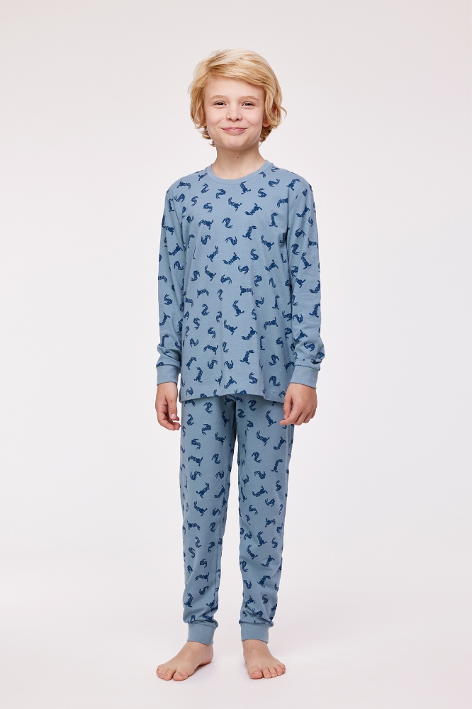 2-8 Yaş Erkek Çocuk Pijama-Pzl - 911-Hare Baskılı Mavi