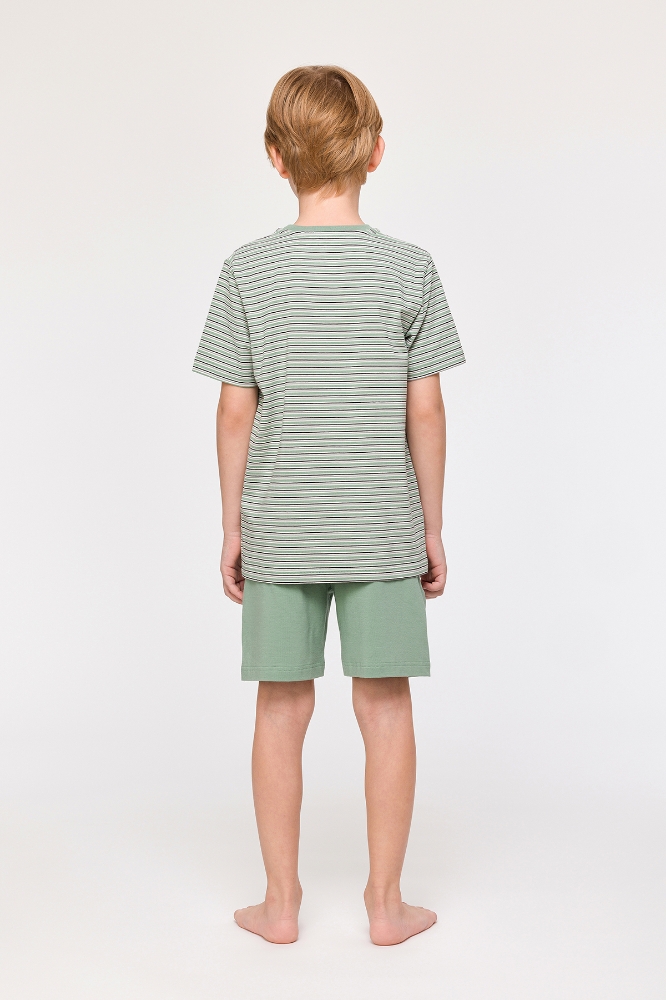 2-8 Yaş Erkek Çocuk Pijama-Qpb - 911 Z STRIPE STUDIO LADYBUG BOYS