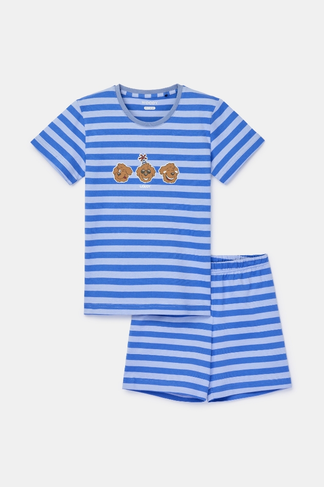 10-16 Yaş Erkek Çocuk Pijama-Pss - 962